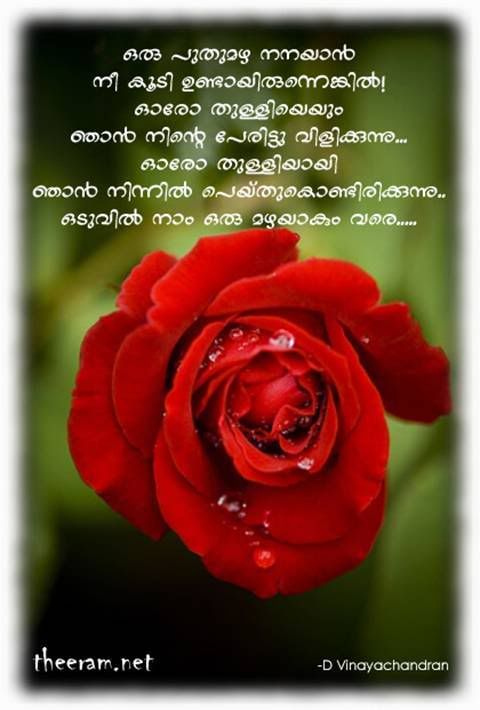 Malayalam Quotes Life. QuotesGram